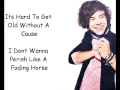 Download Lagu One Direction - Forever Young Lyrics