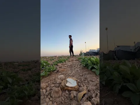 We plant hope despite all circumstances 💔لتقديم المساعدة تواصلو على الواتس اب +972598491106