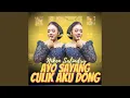 Download Lagu Ayo Sayang Culik Aku Dong