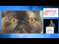 RubyConf 2016 - Methods of Memory Management in MRI by Aaron Patterson