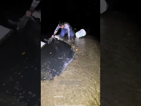 How does this man come here every single day to catch fish? π€ #shortvideo