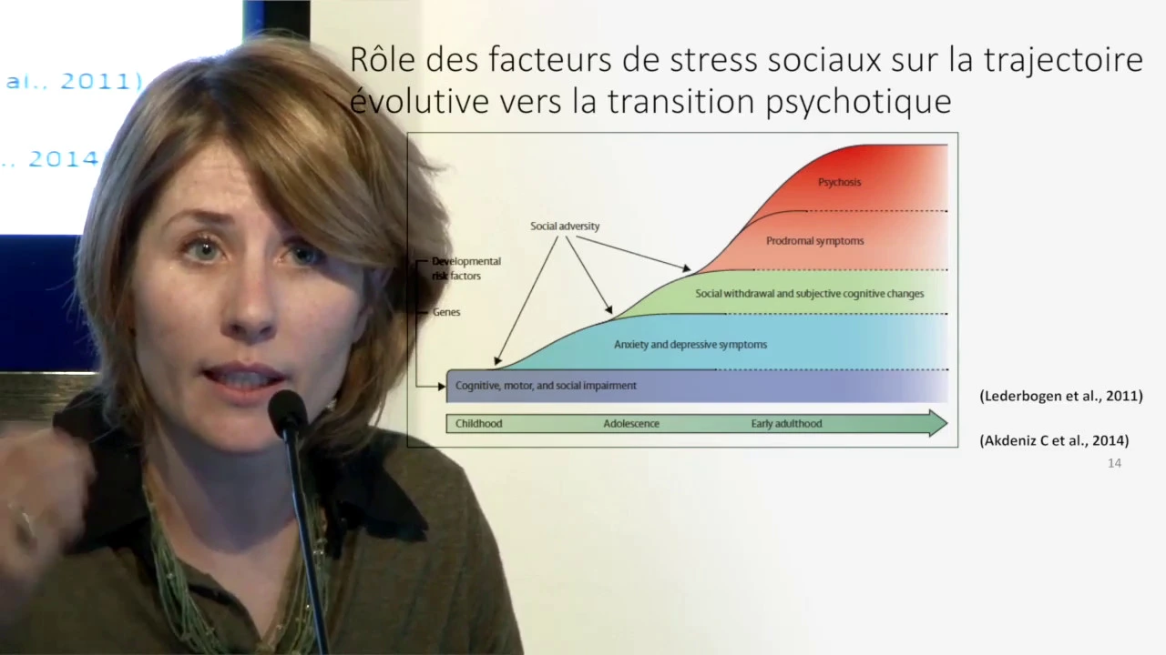 Stress et connectivité du système limbique Julie Bourgin