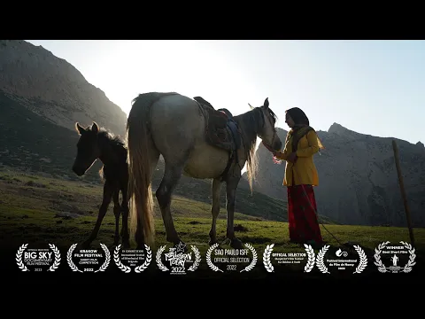 The Dream of a Horse   Trailer   2023