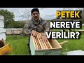 Petek Nereye Verilir?