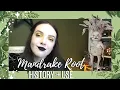 Lagu History of Mandrake Root║Herbal Histories║Witchcraft