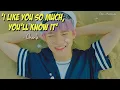 Download Lagu [NCT Lokal] Chenle (천러) - 'I Like You So Much, You'll Know It' Lyrics