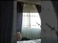 A steamy moment during the live stream makes you wonder what exactly is going on