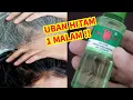 Download Lagu CUKUP 5 TETES RAMBUT UBAN KEMBALI HITAM, KUAT DAN BERSINAR SELAMANYA!!