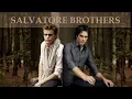 Stefan and Damon s best brotherly moments
