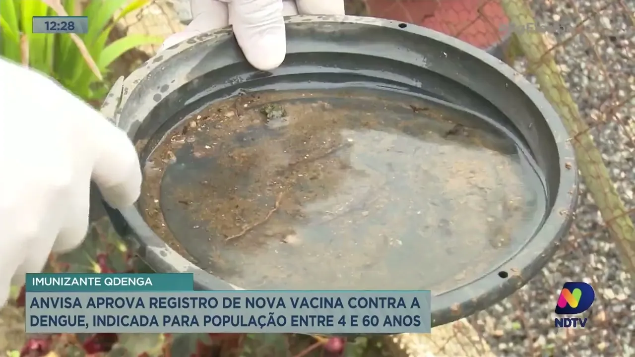 Anvisa aprova registro de nova vacina contra a dengue, indicada para população entre 4 e 60 anos