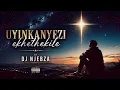 Dj Njebza - Uyinkanyezi Ekhethekile (Official Audio) 