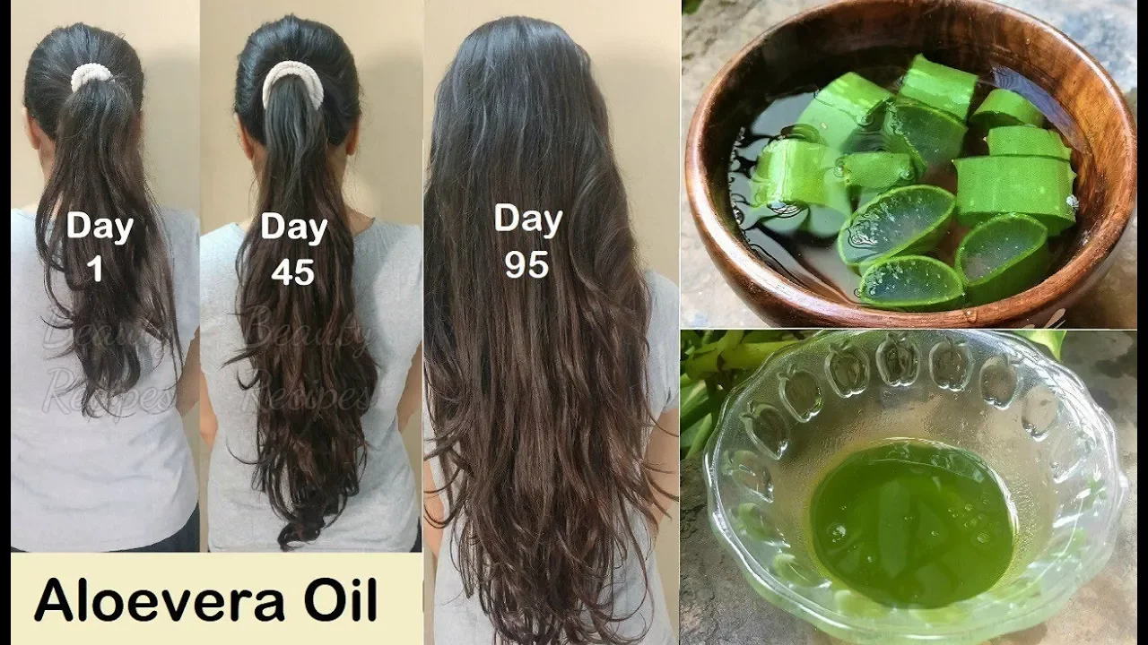 Homemade Aloevera Hair Oil For Double Hair Growth No Hair Fall
