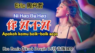 eric dj ni hao bu hao apakah kamu baik baik saja how have you been terjemahan