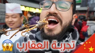 تجربة أكل العقارب في الصين دندنها