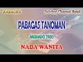 Download Lagu PABAGAS TANOMAN ll KARAOKE BATAK ll ARGHADO TRIO ll NADA WANITA ES=DO