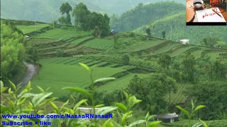 حسين شندي كمال ترباس أزاي الليلة 