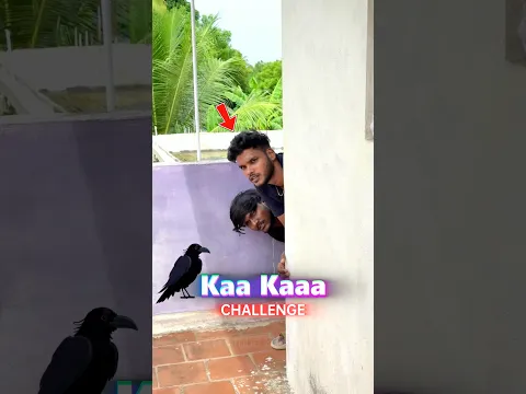 Kaa kaa challenge இப்படி நடக்கும்னு எதிர்பாக்கல😲 Youtube Brotherz #shorts