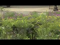 Pocket park developed in Greenfield