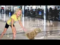 First time flying with a puppy IT WAS BAD
