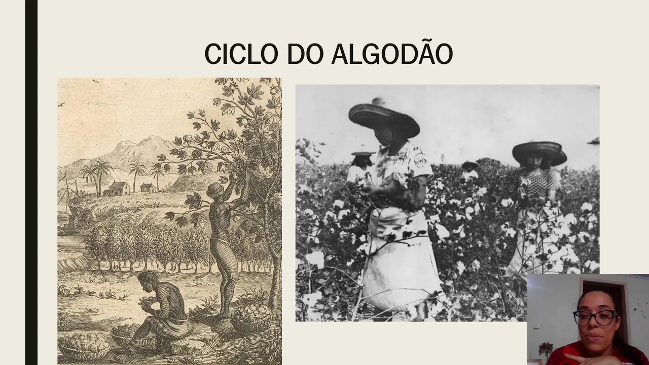 Continuação da explicação Unidade 2 - Ciclo do Algodão