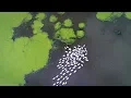 Esri Case Study Utah Department of Natural Resources