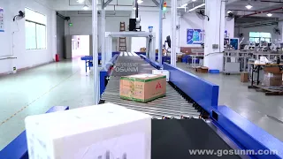 OCR Dynamic DWS swing wheel sorting line with shipping label