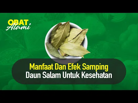 Mengenal Manfaat Daun Salam untuk Kesehatan Tubuh