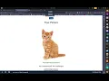 Intro to Cross-site Scripting TryHackMe WalkThrough