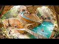 300 Days Building a $1M Modern Luxury House Inside a Cave with Underground Pool Using Primitive Tool