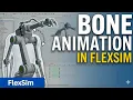 FlexSim Bone Animation Create Realistic 3D Movements Fast