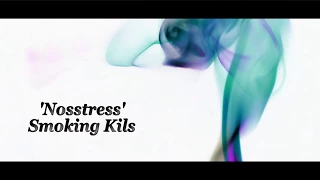 nosstress smoking kills lirik