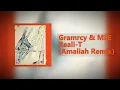 Gramrcy \u0026 MLE - Reali-T (Amaliah Remix)