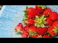 How To Wash Your Berries The RIGHT Way According To a Produce Pro