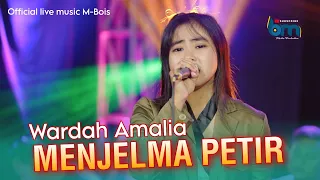 Download MENJELMA PETIR - WARDA AMALIA - OFFICIAL LIVE MUSIK - MBOIS MP3