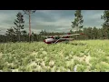 Tellusim Engine SDK Tellusim Forest Scene