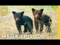 Download Lagu The Wonder of America's National Parks | MEGA EPISODE Season 1 Full Episode