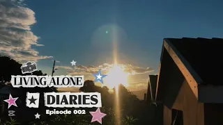 living alone diaries a week of stress introvert diaries 