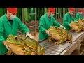 Inside the Frog-Leather Factory: From Frog Skin to Luxury Item (Full Process)