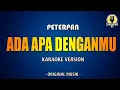 Download Lagu Ada Apa Denganmu - Peterpan (Karaoke Version)