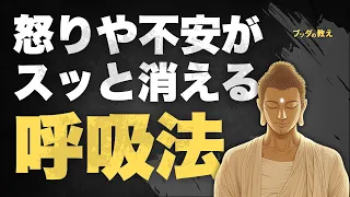 【たった10秒】怒り・イライラを鎮める呼吸法｜ブッダの智慧