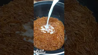 شعرية باللبن تدفينا في البرد ده 