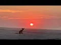 Spiegel im Spiegel; Arvo Pärt - Meditative Flute and Organ music
