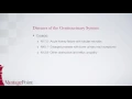 ICD 10 CM Diseases of the Genitourinary System