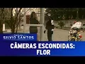 Lagu Flor | Câmeras Escondidas (06/08/17)