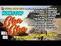 Download Lagu Cha Cha Nonstop Kupu kupu sepanjang pantai - Iron feat Nona Tapilaha (Official Music Audio)