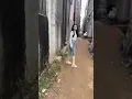 城中村里的小姐姐#背影 #Shorts#小巷子