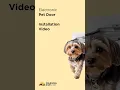 Hakuna Pets Electronic Pet Door Installation