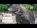 Saving the Last Komodo Dragons