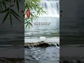 Download Lagu Đàn Ông Nên Kiếm Tiền Trước Hay Lấy Vợ Trước? Câu Trả Lời Sẽ Thay Đổi Cuộc Đời Bạn