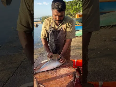 Tuna fish easy cutting skills